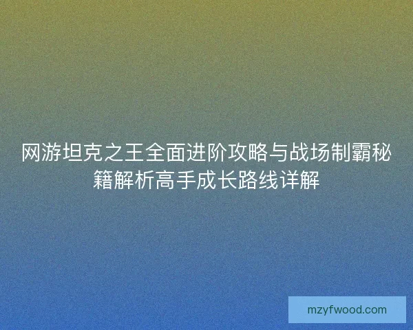 网游坦克之王全面进阶攻略与战场制霸秘籍解析高手成长路线详解