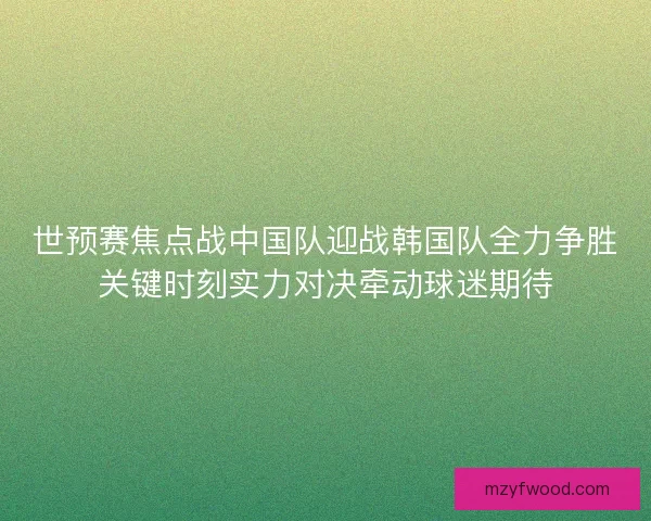 世预赛焦点战中国队迎战韩国队全力争胜关键时刻实力对决牵动球迷期待