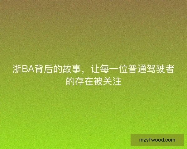 浙BA背后的故事，让每一位普通驾驶者的存在被关注
